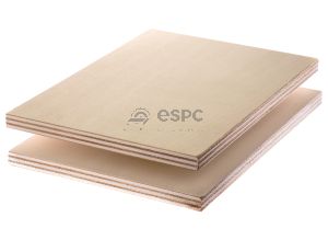 Raw Poplar Plywood