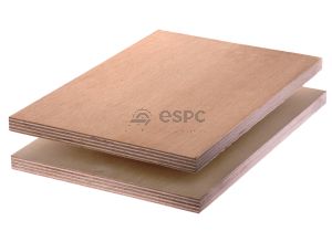 Beech Plywood