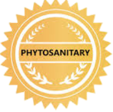 PHYTOSANITARY CERTIFICATE